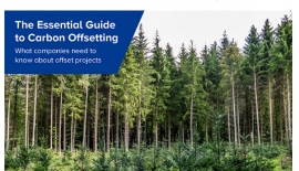 What is Carbon Offsetting? A Guide to Carbon Offsetting for...