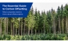 What is Carbon Offsetting? A Guide to Carbon Offsetting for Businesses