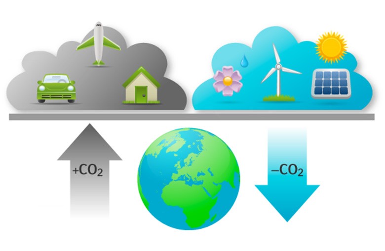 The Carbon Credit Market 